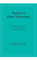 Hadrons at Finite Temperature