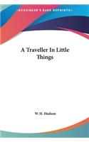 Traveller In Little Things