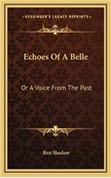 Echoes of a Belle