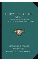 Curvatures Of The Spine