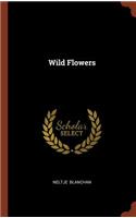 Wild Flowers