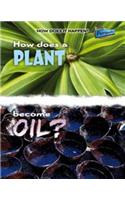 How Does a Plant Become Oil?