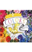 Fairy Friends: A Colors Primer
