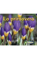 La Primavera