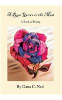 A Rose Grows in the Mist