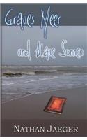 Graues Meer und blaue Sonnen