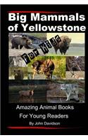 Big Mammals Of Yellowstone For Kids