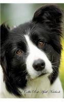 Border Collie Port April Notebook Border Collie Port Record, Log, Diary, Special Memories, To Do List, Academic Notepad, Scrapbook & More