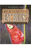 Why Do Pitcher Plants Eat Bugs?