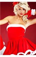 Pinup Santa Journal