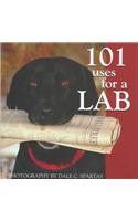 101 Uses for a Lab
