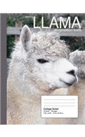 Llama Composition Notebook