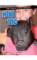 Mini Pig: (You Have a Pet What?!)