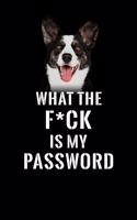 What The F*CK Is My Password, Cardigan Welsh Corgi