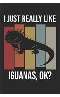 I Just Really Like Iguanas, OK?