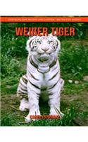 Weißer Tiger