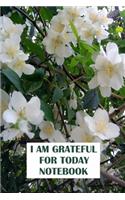 I am Grateful for Today
