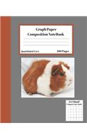 Graph Composition Notebook 5 Squares per inch 5x5 Quad Ruled 5 to 1 100 Sheets