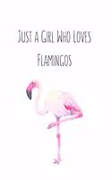 Just a Girl Who Loves Flamingos