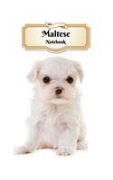 Maltese Notebook