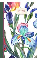 2020 Iris Journal Diary: 12 Months Week to page 150 pages 6x9 with plenty of Journal space - Contacts - Password - Birthday lists(9 2020 Weekly Planner Organizer Diary Journal)