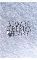 Beware Siberian Husky