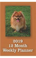 2019 12 Month Weekly Planner: 1 Year Daily/Weekly/Monthly Planner, January 2019-December 2019, Pomeranian Cover
