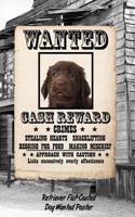 Retriever Flat-Coated Dog Wanted Poster: Handwriting Practice Paper for Kids Notebook with Dotted Lined Sheets for K-3 Students Featuring 120 Pages 6x9