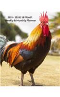 2019 - 2020 18 Month Weekly & Monthly Planner: July 2019 to December 2020 Calendar in Review/Monthly Calendar with U.S./Uk/ Canadian/Christian/Jewish/Muslim Holidays-Notes 8 X 10 In.-Rooster Chic