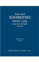 Swan Lake Suite, Op.20a