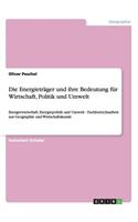 Die Energieträger und ihre Bedeutung für Wirtschaft, Politik und Umwelt: Energiewirtschaft, Energiepolitik und Umwelt - Fachbereichsarbeit aus Geographie und Wirtschaftskunde