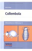 Susswasserfauna Von Mitteleuropa, Bd. 10: Collembola