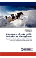 Prevalence of Yoke Gall in Bullocks- Its Management