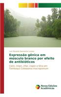 Expressão gênica em músculo branco por efeito de antibióticos