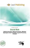 David Bek: (English)