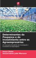 Determinantes da Poupança e do Investimento entre os Agroempresários