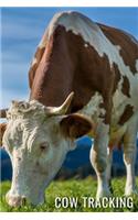 COW Tracking