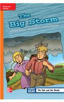 Reading Wonders Leveled Reader the Big Storm: Approaching Unit 6 Week 2 Grade 3: (Elementary Core Reading)