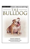 The Bulldog