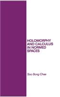 Holomorphy and Calculus in Normed SPates