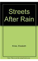 Streets After Rain