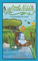 Little Nibbin: Crossing Quick Creek