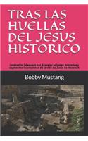 Tras Las Huellas del Jesus Historico