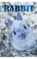 Rabbit: Notebook With Rabbit, Journal, Diary size 6x9