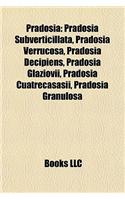 Pradosia: Pradosia Subverticillata, Pradosia Verrucosa, Pradosia Decippradosia Subverticillata, Pradosia Verrucosa, Pradosia Decipiens, Pradosia Glaziovii, Pr(English)