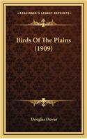 Birds of the Plains (1909)