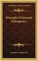 Principles Of Juvenile Delinquency