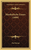 Musikalische Essays (1899)