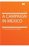 A Campaign in Mexico