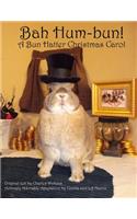 Bah Hum-Bun! A Bun Hatter Christmas Carol